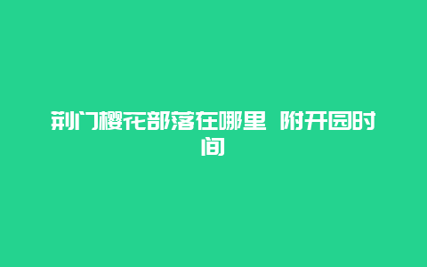 荆门樱花部落在哪里 附开园时间