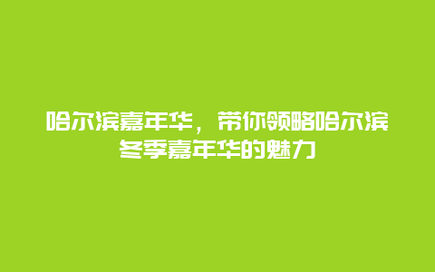 哈尔滨嘉年华，带你领略哈尔滨冬季嘉年华的魅力