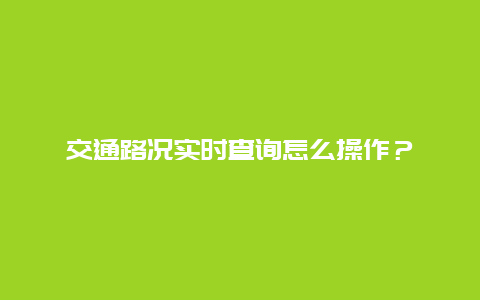 交通路况实时查询怎么操作？