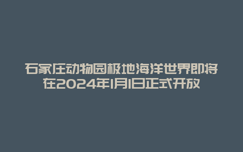 石家庄动物园极地海洋世界即将在2024年1月1日正式开放