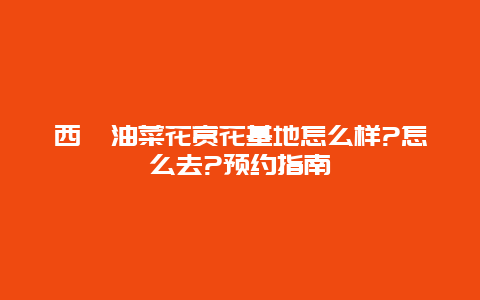 西畈油菜花赏花基地怎么样?怎么去?预约指南