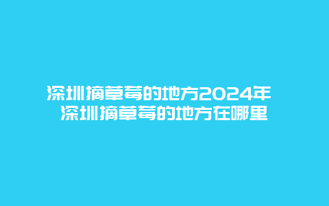 深圳摘草莓的地方2024年 深圳摘草莓的地方在哪里