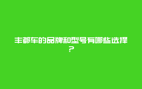 丰都车的品牌和型号有哪些选择？