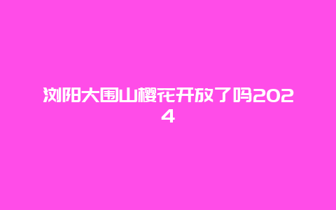 浏阳大围山樱花开放了吗2024