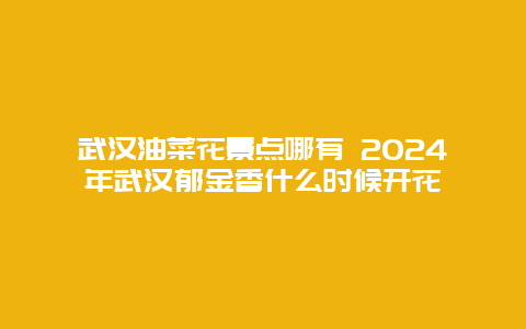 武汉油菜花景点哪有 2024年武汉郁金香什么时候开花