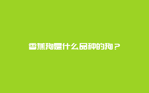 香蕉狗是什么品种的狗？