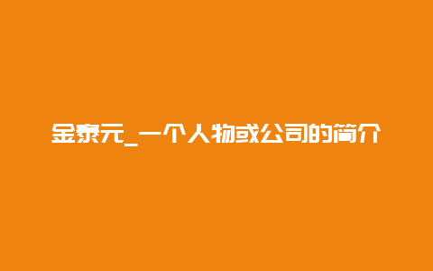 金泰元_一个人物或公司的简介