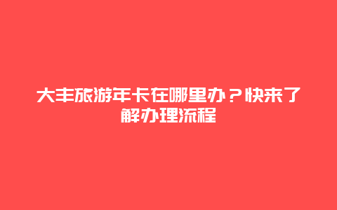 大丰旅游年卡在哪里办？快来了解办理流程