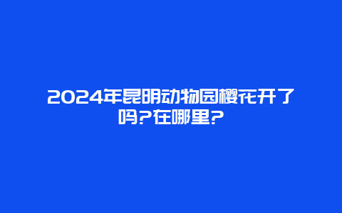 2024年昆明动物园樱花开了吗?在哪里?