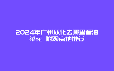 2024年广州从化去哪里看油菜花 附观赏地推荐