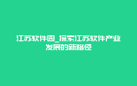 江苏软件园_探索江苏软件产业发展的新路径