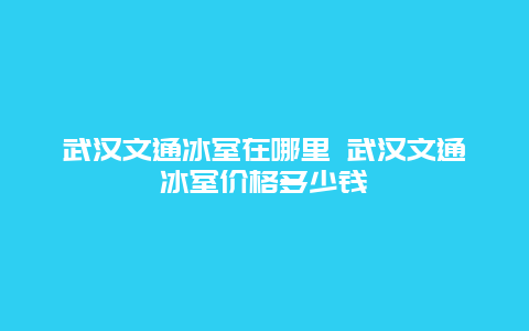 武汉文通冰室在哪里 武汉文通冰室价格多少钱