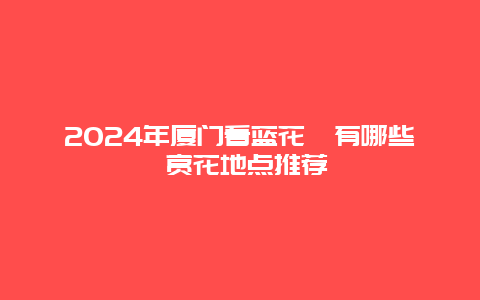 2024年厦门看蓝花楹有哪些 赏花地点推荐