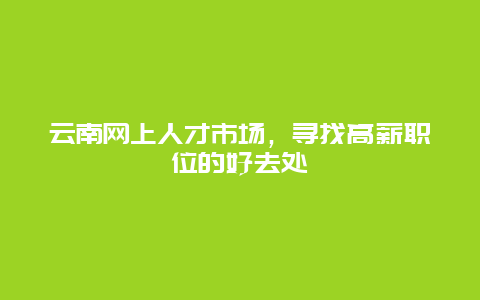 云南网上人才市场，寻找高薪职位的好去处