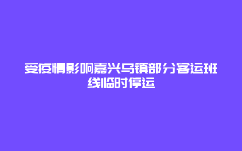 受疫情影响嘉兴乌镇部分客运班线临时停运