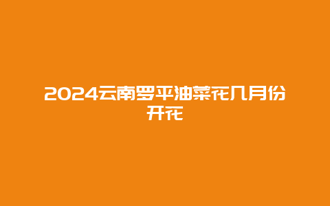 2024云南罗平油菜花几月份开花