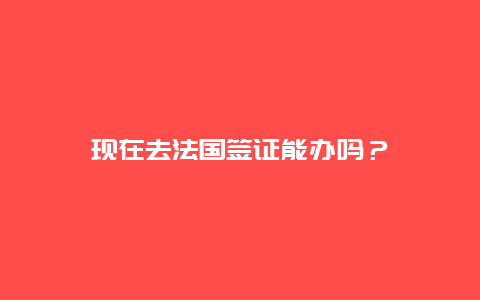 现在去法国签证能办吗？