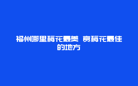 福州哪里梅花最美 赏梅花最佳的地方