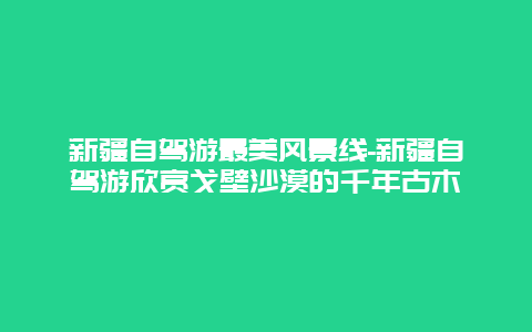 新疆自驾游最美风景线-新疆自驾游欣赏戈壁沙漠的千年古木