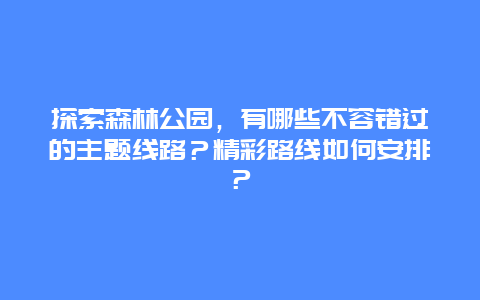 探索森林公园，有哪些不容错过的主题线路？精彩路线如何安排？