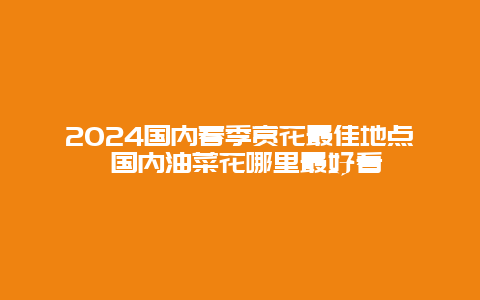 2024国内春季赏花最佳地点 国内油菜花哪里最好看