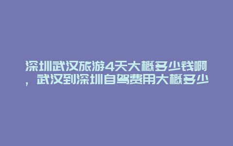 深圳武汉旅游4天大概多少钱啊，武汉到深圳自驾费用大概多少