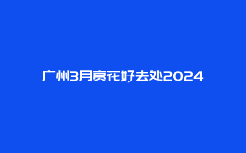 广州3月赏花好去处2024