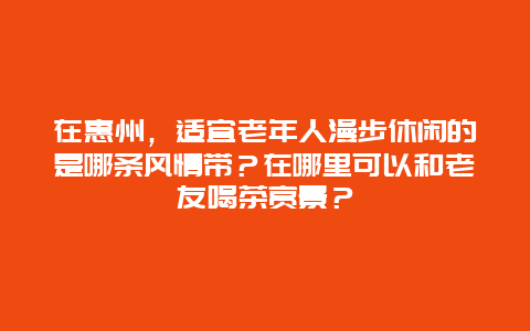 在惠州，适宜老年人漫步休闲的是哪条风情带？在哪里可以和老友喝茶赏景？