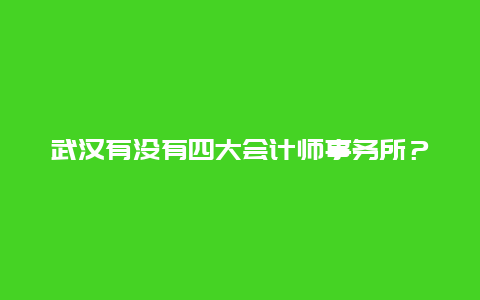 武汉有没有四大会计师事务所？