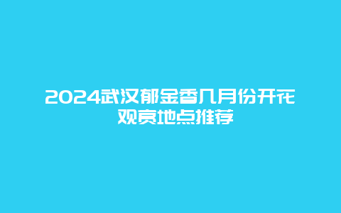 2024武汉郁金香几月份开花 观赏地点推荐