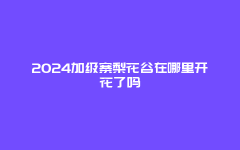 2024加级寨梨花谷在哪里开花了吗