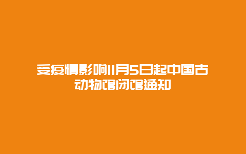 受疫情影响11月5日起中国古动物馆闭馆通知