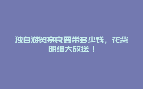 独自游览奈良要带多少钱，花费明细大放送！