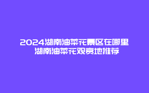 2024湖南油菜花景区在哪里 湖南油菜花观赏地推荐