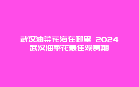 武汉油菜花海在哪里 2024武汉油菜花最佳观赏期