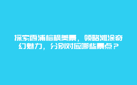 探索霞浦榕枫美景，领略滩涂奇幻魅力，分别对应哪些景点？