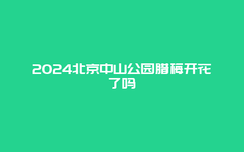 2024北京中山公园腊梅开花了吗