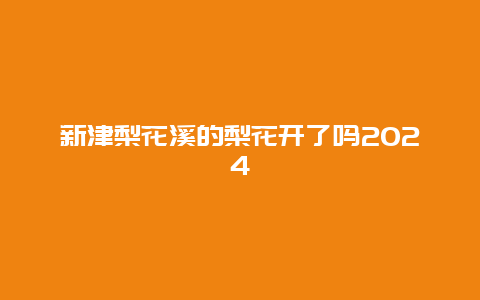 新津梨花溪的梨花开了吗2024