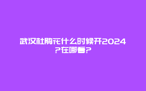 武汉杜鹃花什么时候开2024?在哪看?