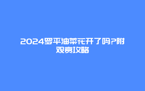 2024罗平油菜花开了吗?附观赏攻略