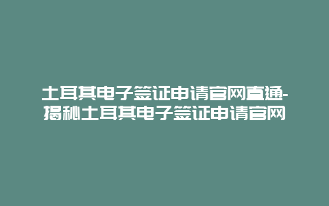 土耳其电子签证申请官网直通-揭秘土耳其电子签证申请官网