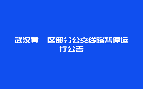 武汉黄陂区部分公交线路暂停运行公告