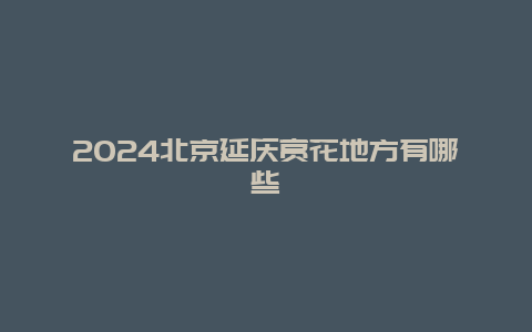 2024北京延庆赏花地方有哪些