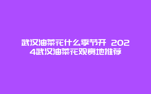 武汉油菜花什么季节开 2024武汉油菜花观赏地推荐