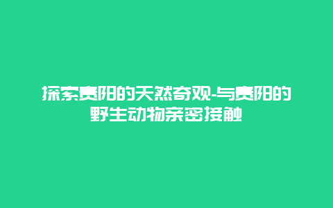 探索贵阳的天然奇观-与贵阳的野生动物亲密接触