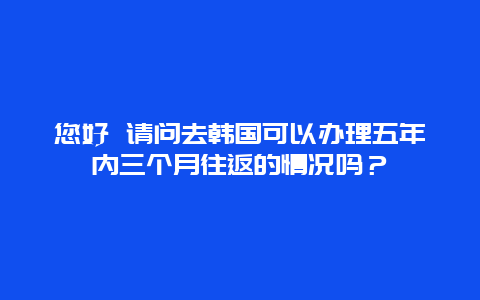 您好 请问去韩国可以办理五年内三个月往返的情况吗？