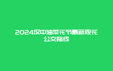 2024汉中油菜花节最新观花公交路线