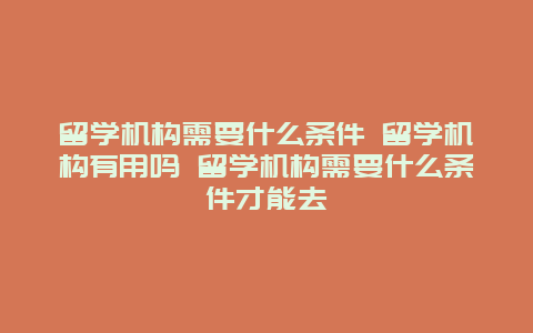 留学机构需要什么条件 留学机构有用吗 留学机构需要什么条件才能去