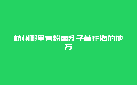 杭州哪里有粉黛乱子草花海的地方