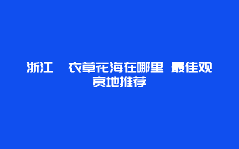 浙江薰衣草花海在哪里 最佳观赏地推荐